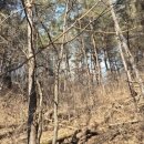 가용경로당 이미지