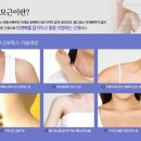바디톡스