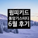 책으로 톡(talk)하고 통(通)하고 | 윔피키드 통암기 6월 후기 모음 | 온라인 스터디