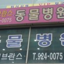 탄현동물병원 이미지