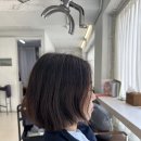 마네르 서초포레점 | 서초역 미용실 마네르 서초포레점 뿌염+클리닉 후기