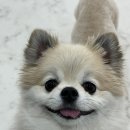 멍클라쓰 이미지