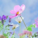 1230스터디3.0학원