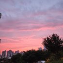 우연 한동 | 강동그린웨이 가족캠핑장 솔로 캠핑 후기 (매화 17)