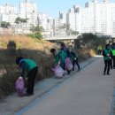 풍영천변 합동 정화활동(월곡,신가,운남,수완동) 이미지