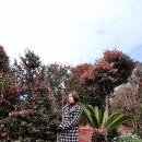 루이 925 이미지