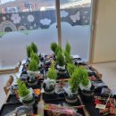 향기가득 원예교실 이미지