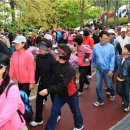 꽃-가족 이미지