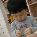 야무진친구들 Daum카페