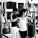 필리스 핏 이미지