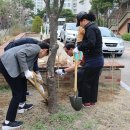 세마중학교 이미지