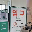 보조기전 | 기장 오시리아 약국 반려견 의료기기 실리합 보조기 구매후기