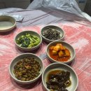 낙지촌버들점 이미지