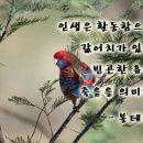 성일굴비