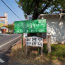 숲속의 섬 이미지