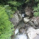 사리농장 이미지