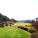 (주)마이다스그룹 이미지
