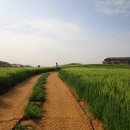 남당목장 이미지