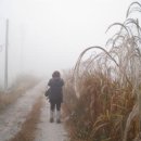 남평읍사무소 | 광주 비엔날레와 무등산 - 둘째날