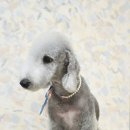 트리밍스튜디오제제 이미지