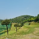 88골프연습장 이미지