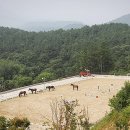 (주)골든쌔들 이미지