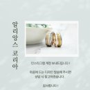 알리앙스 | 대전 커플링 후기 알리앙스 코리아