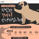 황금애견 이미지