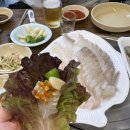 청수탕 | 인천종합어시장 초장집 미락회양념 직접 잡은 광어회 후기