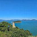 GS25 여수한려점 | 해돋이와 동백꽃의 명소 여수 한려해상국립공원 오동도 탐방기