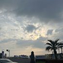 제주조이랜드 | 유월의 제주 (9) - [애월] 가성비 숙소 &lt;애월스테이 인 제주&gt; / 그 옆 아담한 수국 정원을 가진 카페...