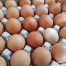 김종천농장 이미지