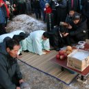 유전1리 이미지