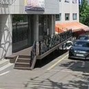 한국고양이혈액센터 이미지