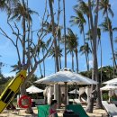 선트리레스토랑 | 방콕 코사무이 신혼여행 :: DAY 3~4 밀레니엄힐튼방콕 반얀트리사무이 샌즈레스토랑