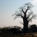 태산농장 이미지