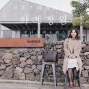 제주첫날두근 이미지