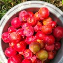 증산고기백화점 이미지