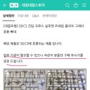 대림SD