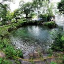 황지연못 이미지