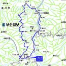 인현왕후길 티스토리