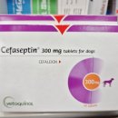 태평양동물약국 이미지