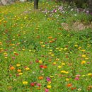 2025년9월21일셋째주일요일 정기산행안내 이미지