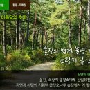 금강힐링캠프
