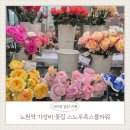 프리지아 B | 노원역 꽃집 스노우폭스 플라워/ 미니 꽃다발 프리지아 3900원 가성비 최고