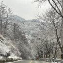 조동1길 이미지