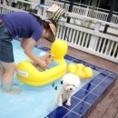 스위트몽 이미지