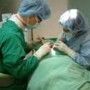 미.서울치과 이미지