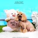 루이펫샵 이미지