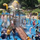 창포원로 이미지